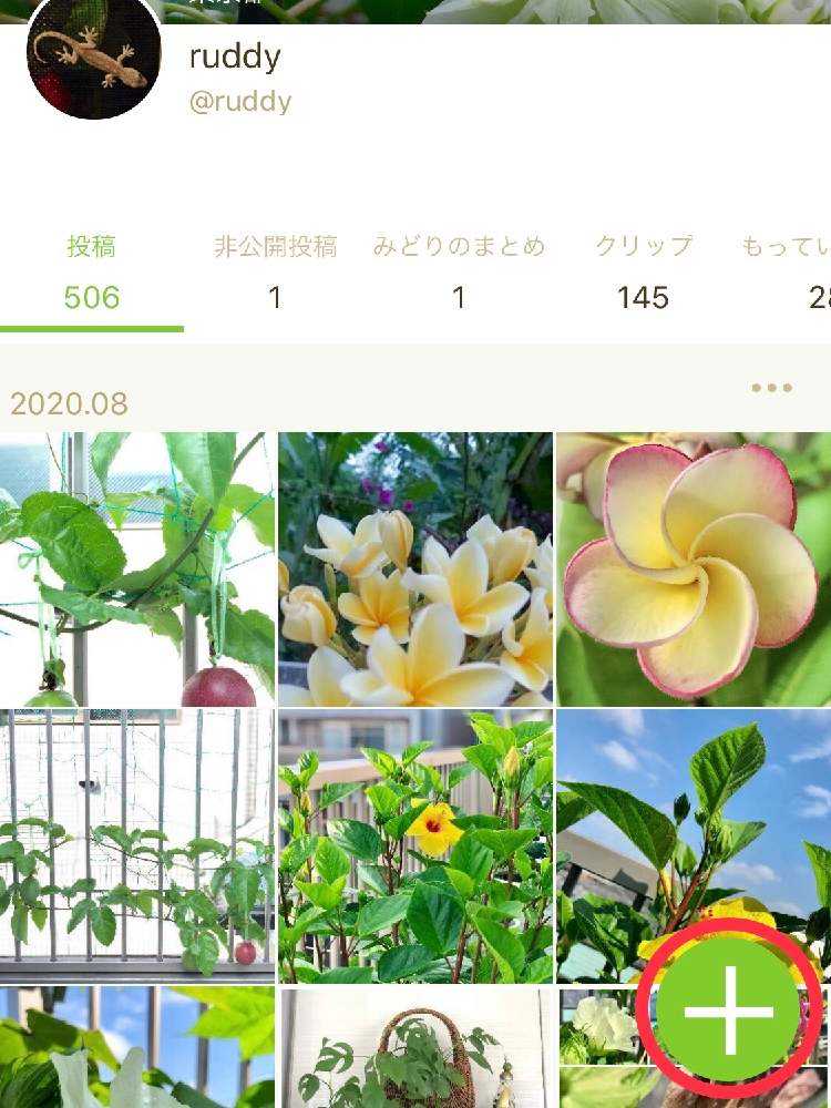 みどりのまとめ」のみどりのまとめ🍀｜🍀GreenSnap（グリーンスナップ）