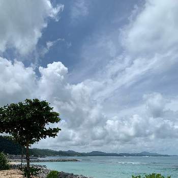 沖縄の夏景色の投稿画像一覧 Greensnap グリーンスナップ