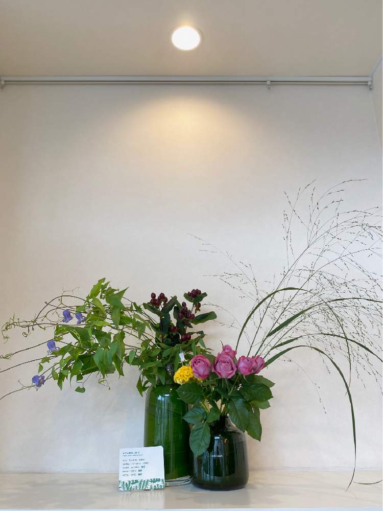 バラ パフューパープルの投稿画像 By Watacoさん クレマチスミススミレとヒペリカム ロッキーロマンスとクレマチス ミススミレとパニカム ジャーマンとケイトウ イエロークイーンとみんな笑顔と素敵なアレンジと花活け定期便と花のある暮らしと職場にお花を 月9月2