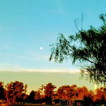 お月様が未だ滞在中の画像 by m＆oさん | お出かけ先とみさと公園と今朝の散策道と対岸は水元公園とお月様が未だ滞在中