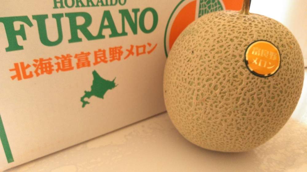 お中元で届いたメロンの種を蒔いて見た ３ 9月13日 日 追記 Greensnap グリーンスナップ