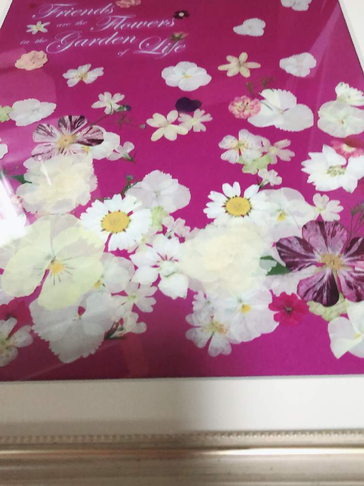 ローズの投稿画像 By Rose Miさん 押し花アートとみにばらとおうち園芸と紫陽花大好きとピンクのお花と花のある暮らしと薔薇バラと押し花と楽しい時間 月9月5日 Greensnap グリーンスナップ