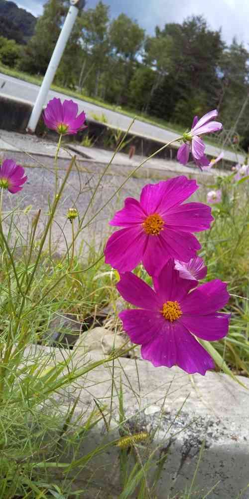 1599386366971_292918_20200906_