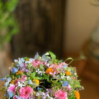 生花リースの画像 by hiromiさん | 部屋とスプレーバラとオキシペタラム ホワイトスターとオキシペタラムとデルフィニウムと姫ひまわりとフジバカマとアストランティアとハマナデシコと花の15年組と生花と生花リースとリースとナチュラルスタイルとフラワーアレンジメントと花のある暮らしと切り花