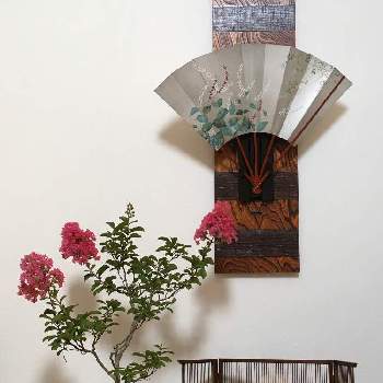 サルスベリ盆栽の画像 by HTさん | 玄関とミズヒキの花とサルスベリ盆栽とハギの花♡と花のある暮らしと盆栽