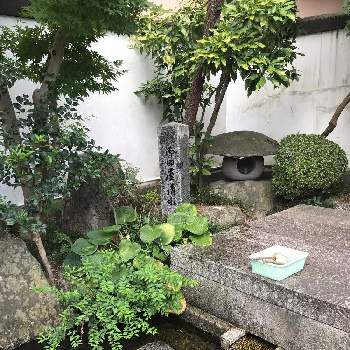御田屋