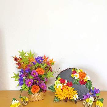 100均造花の投稿画像一覧 Greensnap グリーンスナップ 100均造花の投稿画像一覧 Greensnap グリーンスナップ