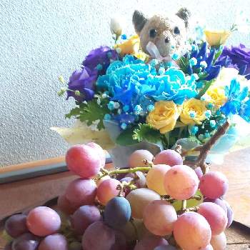 巨峰✨の画像 by ミキさん | お出かけ先と巨峰とブドウとちいさな幸せ♡とブドウ科と植物大好きと植物だいすきと巨峰✨と今日の一枚と今日のお花としあわせ♡と花は癒やし♡