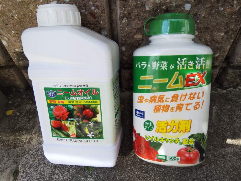 害虫対策の投稿画像 By オリカナさん 減農薬 無農薬 とおうち園芸と農薬に頼らないガーデニング 月9月10日 Greensnap グリーンスナップ