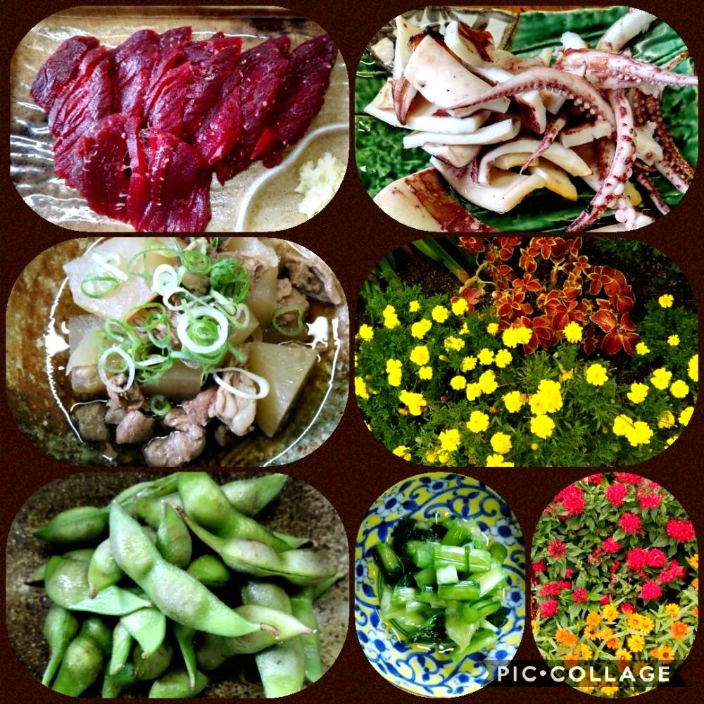 魚入れ食いさんの投稿画像 月9月12日 Greensnap グリーンスナップ