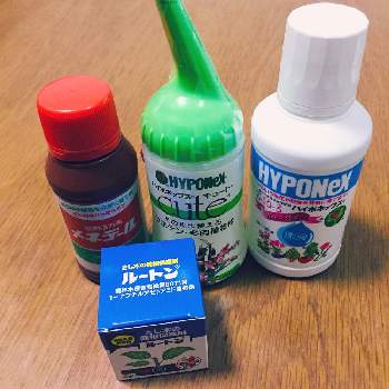 ルートン 発根促進剤 の投稿画像一覧 Greensnap グリーンスナップ