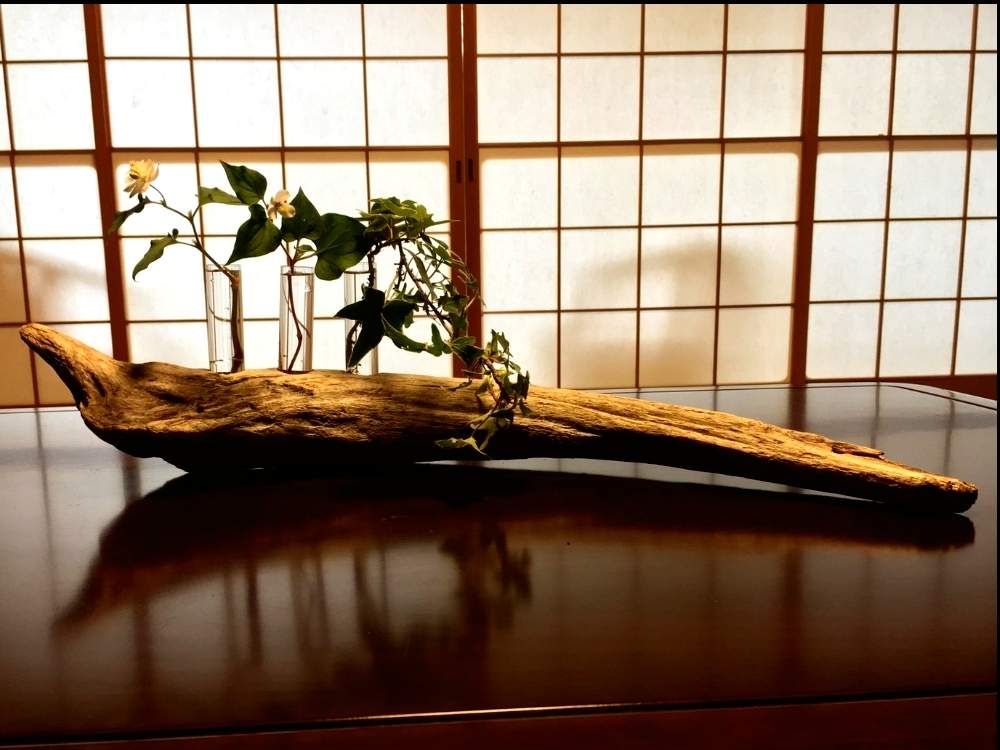 流木の投稿画像 By 花鳥風月堂 さん 流木アレンジと流木アートと流木インテリア 月9月18日 Greensnap グリーンスナップ