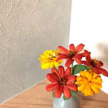 トイレにお花をの投稿画像一覧 Greensnap グリーンスナップ