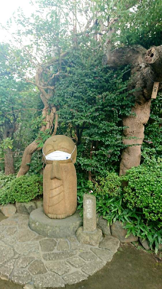 鎌倉の投稿画像 By Ringoさん 長谷寺とお地蔵さまと 可愛いと和み地蔵 月9月日 Greensnap グリーンスナップ
