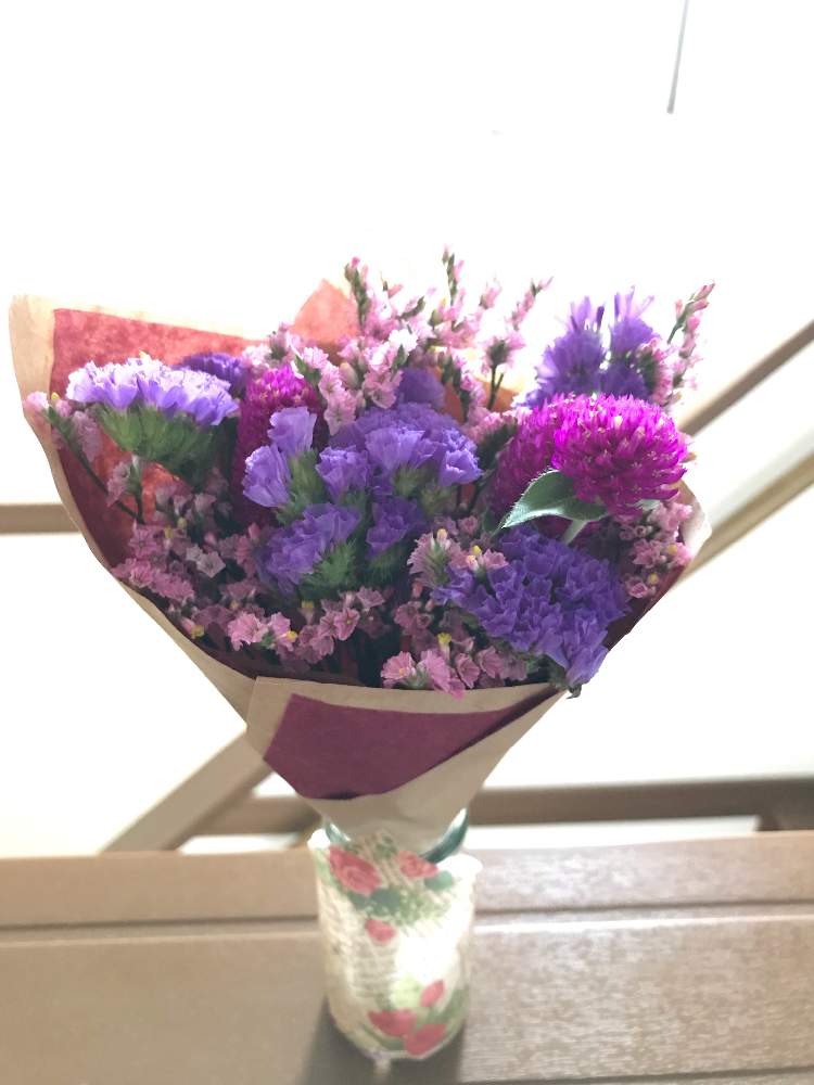 スターチスの投稿画像 By マミさん 千日紅とリモニウム スターチス 月9月日 Greensnap グリーンスナップ