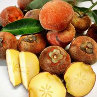 ケガキ,毛柿,ベルベットアップル,南国,沖縄の画像