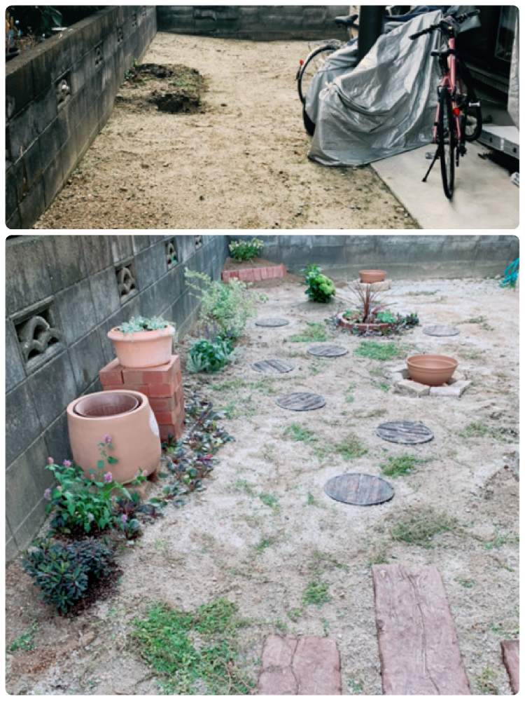 お友達の庭の投稿画像 By かおりんさん 自己満足と癒しと心ほっこりとおうち園芸とチームfabとお庭大改造と花のある暮らしとチーム福岡と地植えと 大人可愛い 月9月22日 Greensnap グリーンスナップ