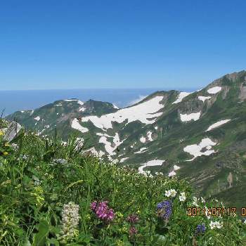 白馬岳の投稿画像一覧 Greensnap グリーンスナップ