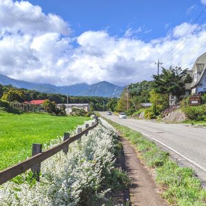 田舎暮らし,no green no life,クジャクアスター★,清里牧場通り,八ヶ岳高原ライフの画像