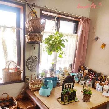 作業部屋の投稿画像一覧 Greensnap グリーンスナップ