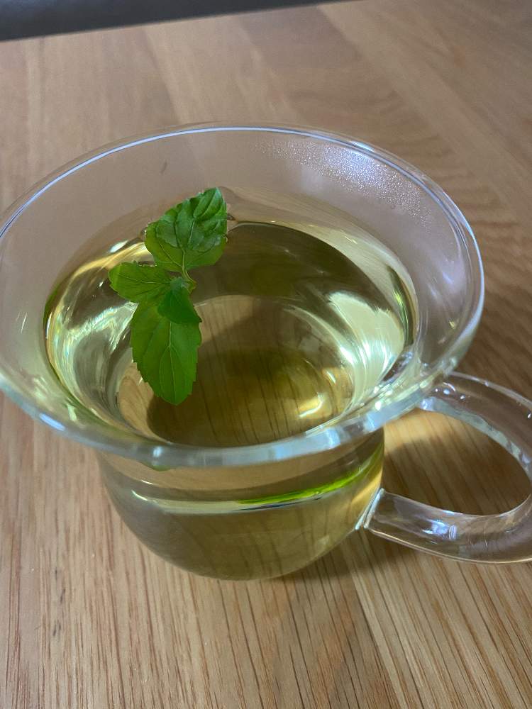 ハーブティーの投稿画像 By 花梨さん 癒しのグリーンとミントティーと癒しとフレッシュハーブティーと葉っぱとおうち園芸とハーブと鉢植えとかわいい 月9月28日 Greensnap グリーンスナップ