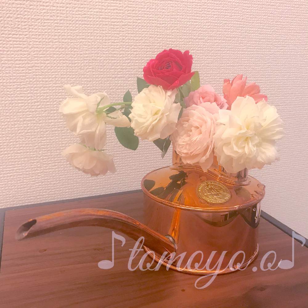 バラの投稿画像 By 幻テラスのともちゃん2年生さん ばら バラ 薔薇と薔薇愛同盟とデビッドオースチンとおうち園芸とローズファームケイジとイングリッシュ ローズと花のある暮らしと薔薇 とロザリアンとバラを楽しむ 月9月28日 Greensnap グリーンスナップ