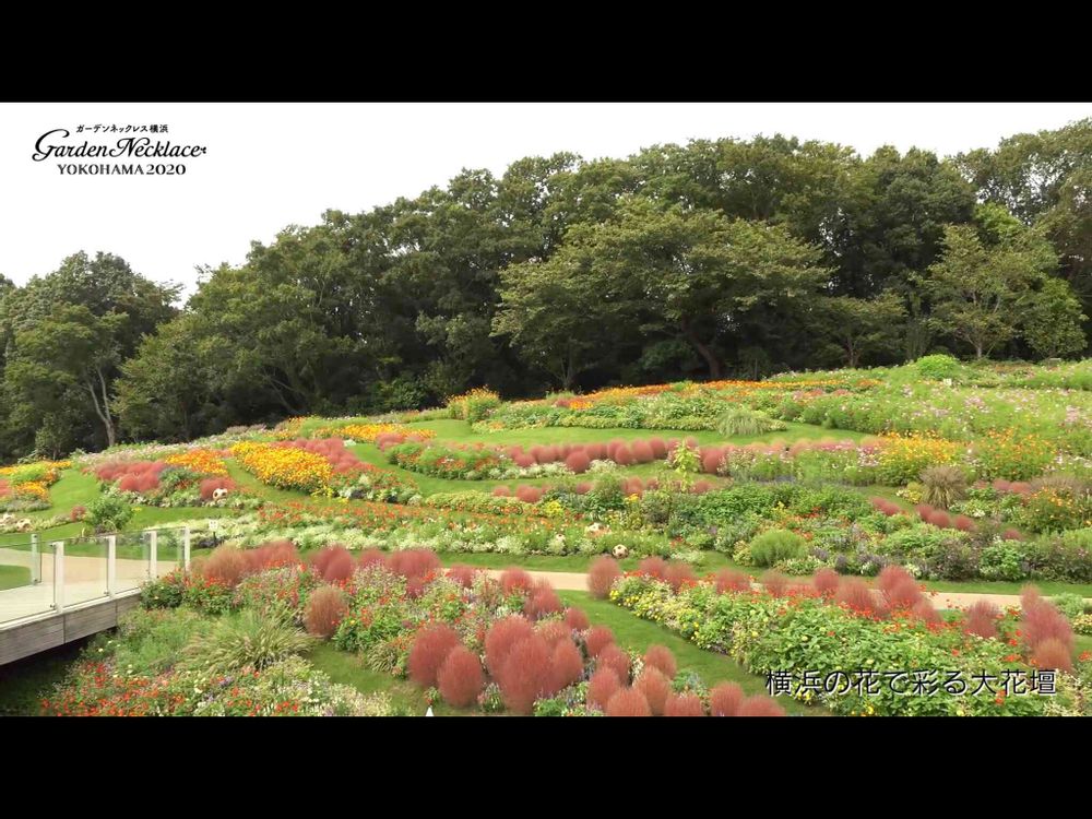 【公式】ガーデンネックレス横浜さんの里山ガーデン（大花壇）への投稿