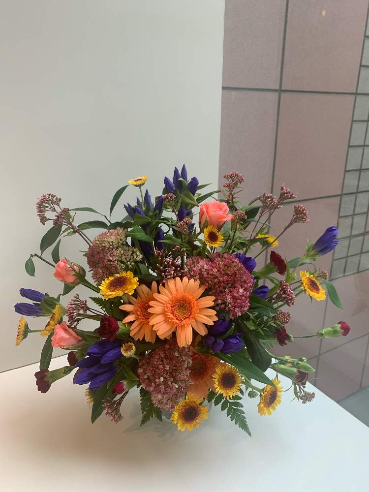 ガーベラの投稿画像 By Maiさん リンドウとフラワーアレンジメントと フラワーアレンジとフラワーアレンジメント初心者 月9月29日 Greensnap グリーンスナップ
