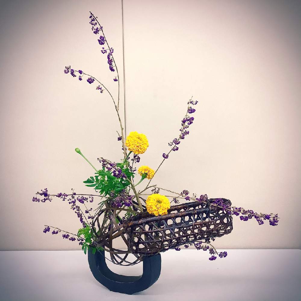 マリーゴールドの投稿画像 By Apricot53さん ムラサキシキブとマリー ゴールド と植物のある暮らしとテーブル花と草月とおうちで飾る花といけばなとフラワーアレンジメントと花のある暮らしとテーブルウェアと切り花と生け花 月10月1日 Greensnap グリーン
