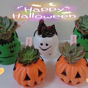 レインドロップ,オリビア,エスター,コロラータ✕スリョン,ハロウィンの画像