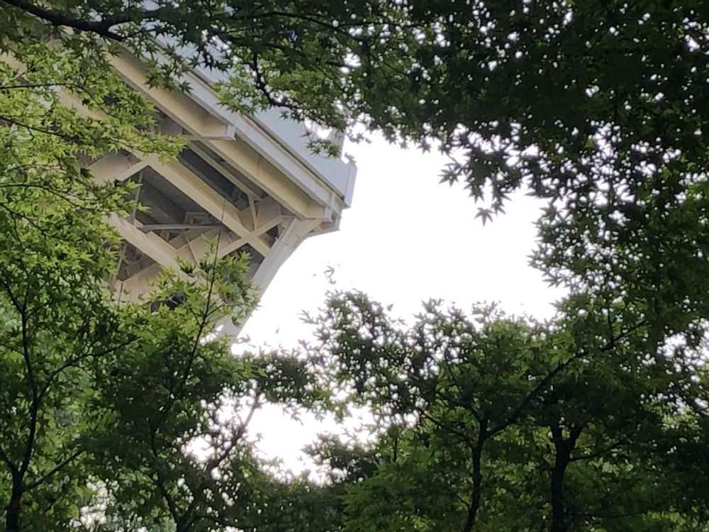 ピノ太郎さんの横浜公園への投稿