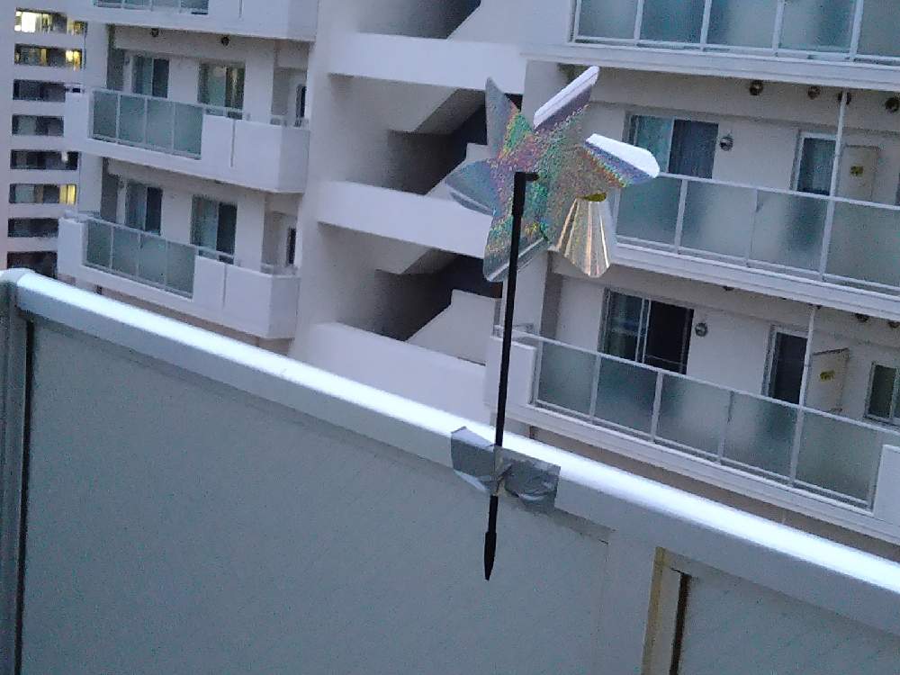 カラス対策 風車の投稿画像 By かなさん バルコニー ベランダ 月10月1日 Greensnap グリーンスナップ Greensnap グリーンスナップ