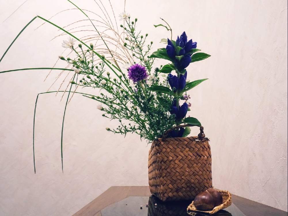 ビーズフラワー りんどう はぎおみなえし あざみ われもこう すすき