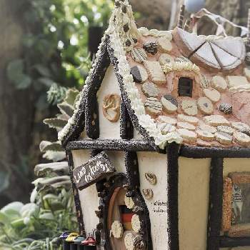 ミニチュアお菓子の家の投稿画像一覧 Greensnap グリーンスナップ