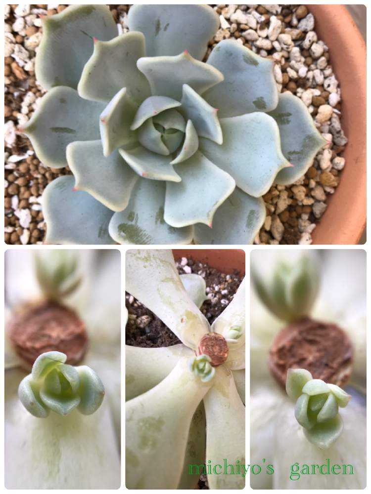 1601684589258_thum_559947_phot