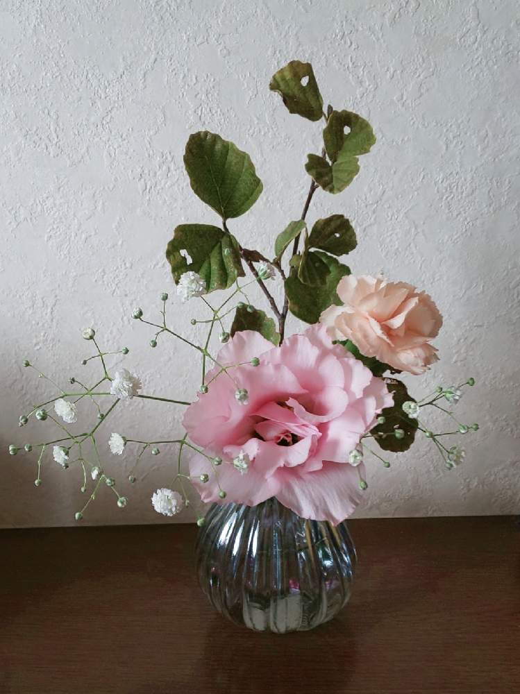 カーネーションの投稿画像 By ハイオクさん トルコキキョウとマンサクとかすみ草と花のある暮らしと魔法の花瓶 月10月3日 Greensnap グリーンスナップ