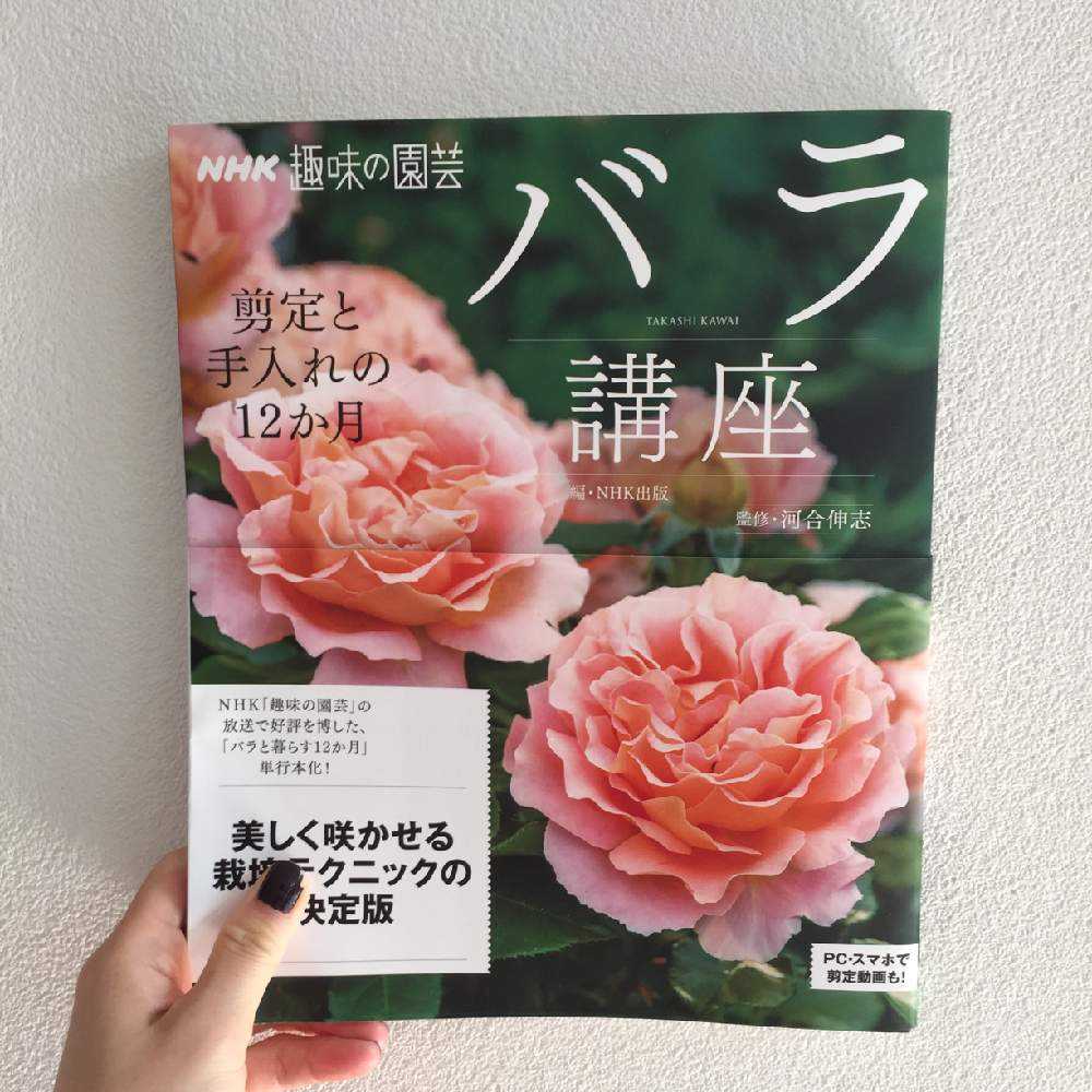 鉢植えバラたちの成長記録 Greensnap グリーンスナップ