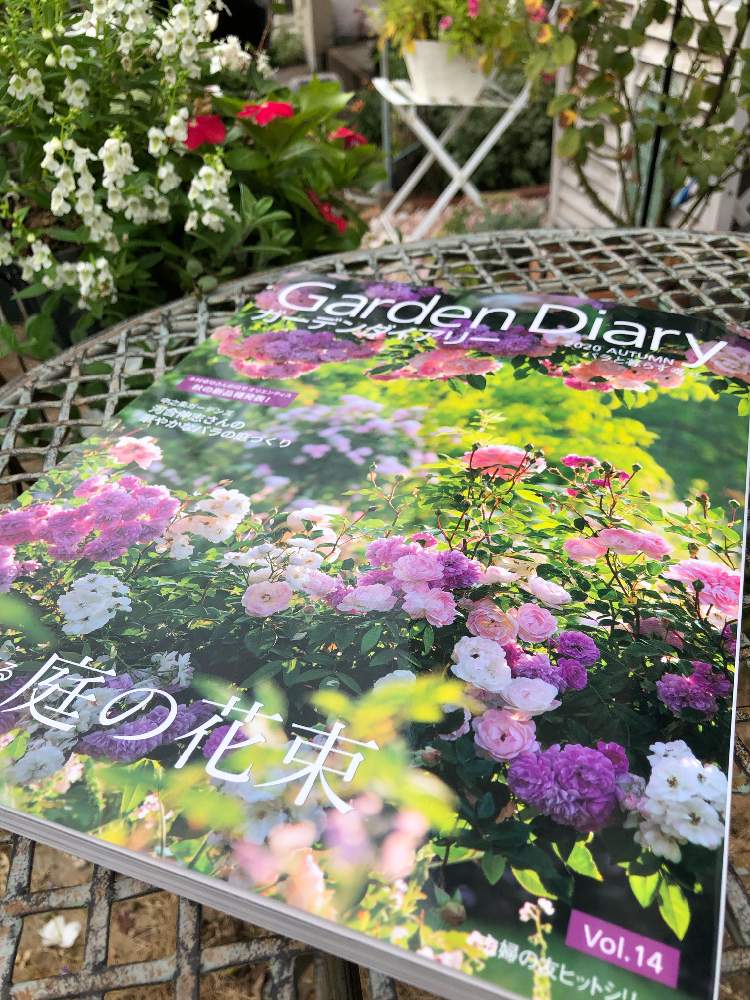 ナチュラルガーデンの投稿画像 By ぷるんさん 薔薇のある暮らし とおうち園芸と薔薇が好き と庭のある暮らしとガーデニングと花のある暮らしと ガーデンダイアリー 月10月4日 Greensnap グリーンスナップ