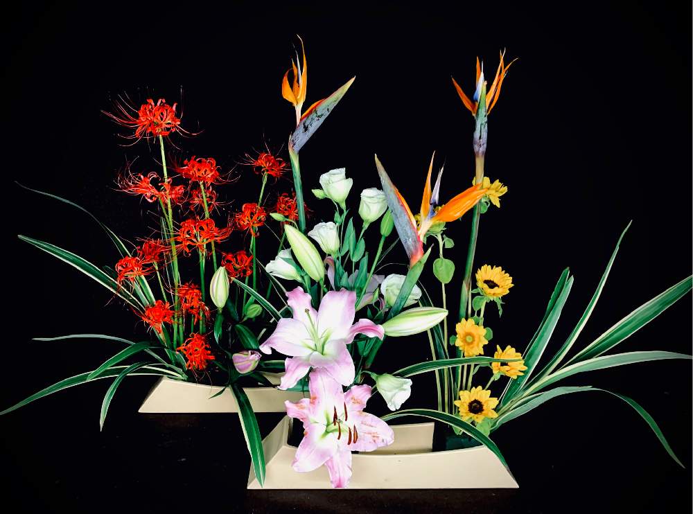 ストレリチア の投稿画像 By 蘭さん 彼岸花と百合の花と向日葵 ひまわり ヒマワリとフラワーアレンジメントと花のある暮らしとあきとアレンジメント 月10月4日 Greensnap グリーンスナップ