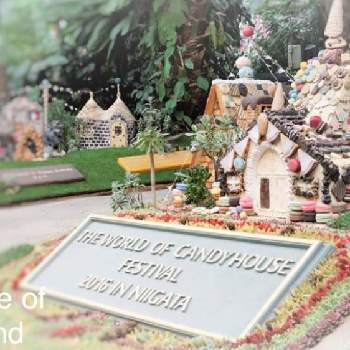 ミニチュアお菓子の家の投稿画像一覧 Greensnap グリーンスナップ