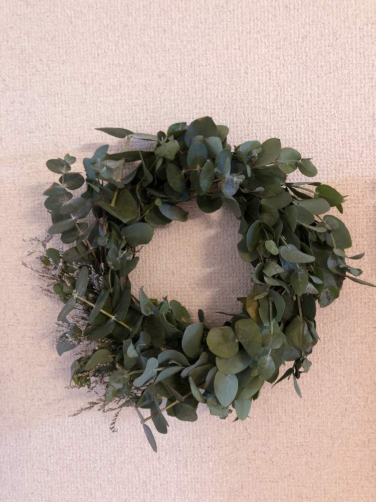 ユーカリの投稿画像 By 鶏皮ちゃんさん ユーカリ ドライフラワーとドライフラワーリース 月10月7日 Greensnap グリーンスナップ
