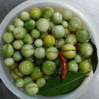 月桂樹,青トマト,青いトマトのピクルス,自分らしくね,ベテラン乙女倶楽部の画像