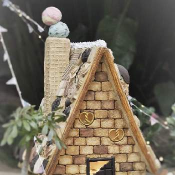 ミニチュアお菓子の家の投稿画像一覧 Greensnap グリーンスナップ