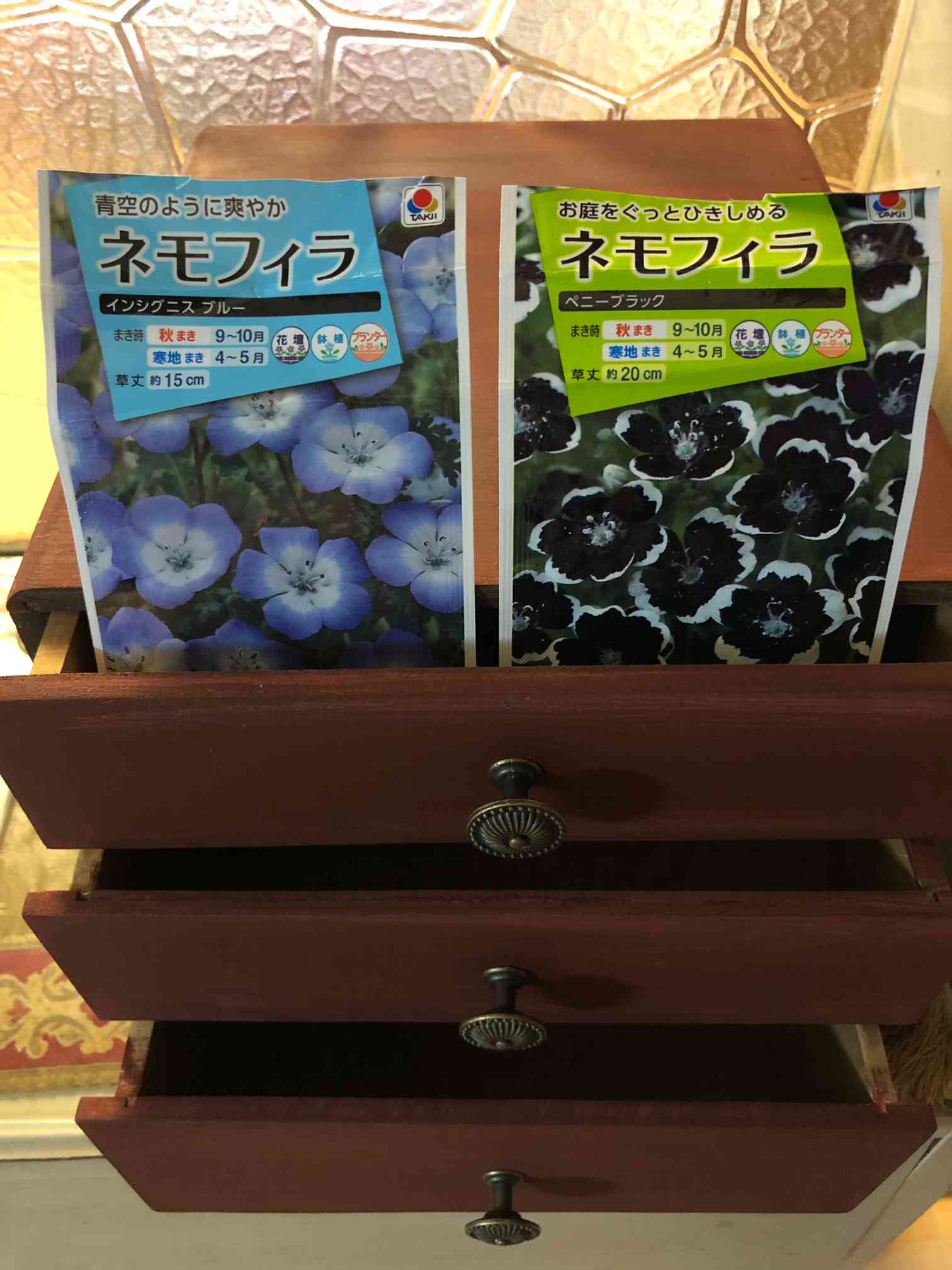 種蒔き時　日本語foil MTG 種蒔き時/Seedtime 日本語版 foil JUD - マジック：ザ