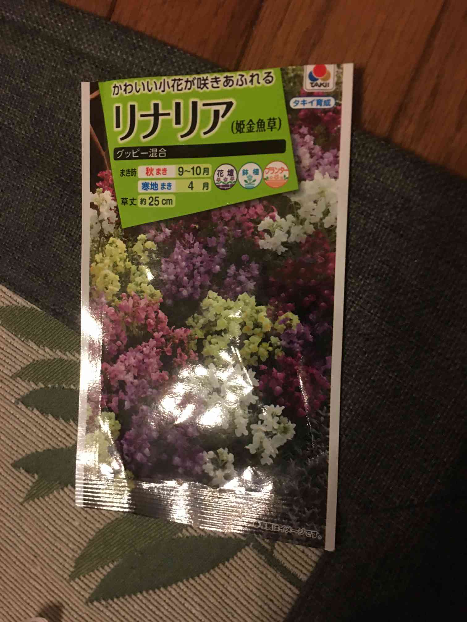 リナリア様 オーダーページ リナリアの成長記録🍀🍀🍀｜🍀GreenSnap（グリーンスナップ）