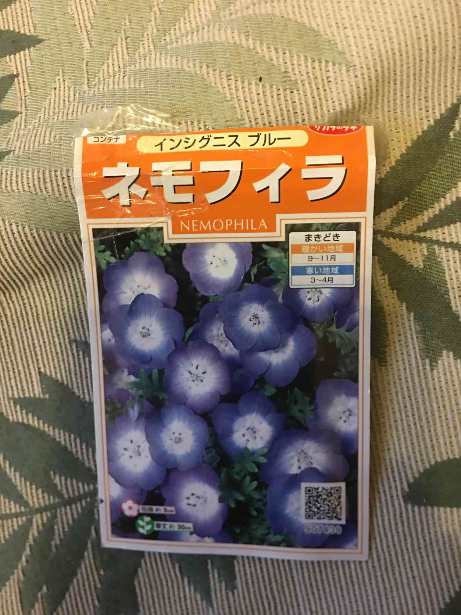 ネモフィラの成長記録🌱🌱🌱｜🍀GreenSnap（グリーンスナップ）