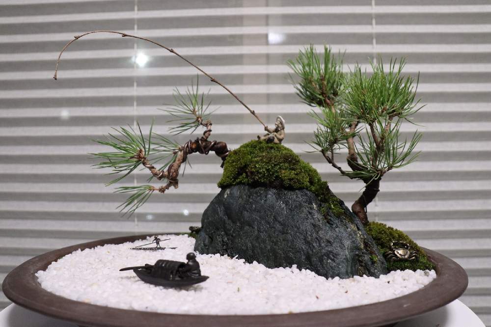 黒松の投稿画像 By 若ちゃんさん 添配と海のある風景と石づき盆栽と風景盆栽と苔 こけ と懸崖と伊予の青石と盆栽 月10月9日 Greensnap グリーンスナップ