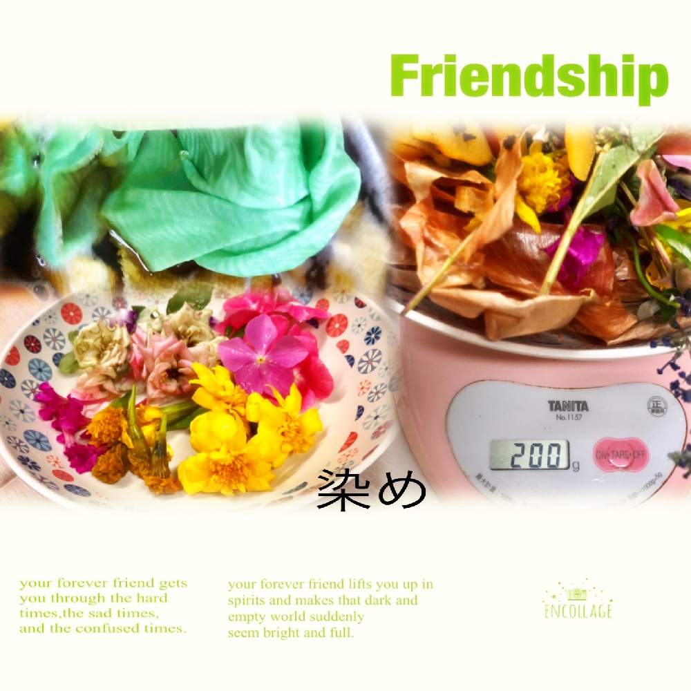 布を染めてみました Greensnap グリーンスナップ