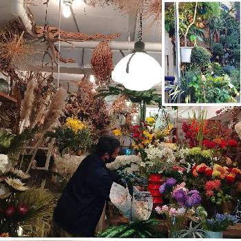 代々木上原の投稿画像一覧 Greensnap グリーンスナップ