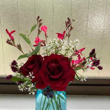 赤い薔薇❣の画像 by teru teruさん | 薔薇と切り花を楽しむと癒しの時間♡♡と家の中とおうち園芸とGSに感謝。と小さな庭♡と赤い薔薇❣と可愛いと花のある暮らし
